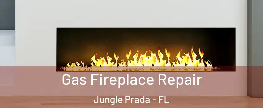 Gas Fireplace Repair Jungle Prada - FL