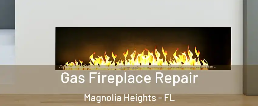 Gas Fireplace Repair Magnolia Heights - FL