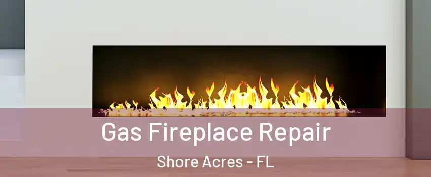 Gas Fireplace Repair Shore Acres - FL