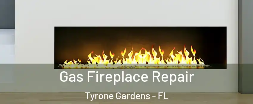 Gas Fireplace Repair Tyrone Gardens - FL