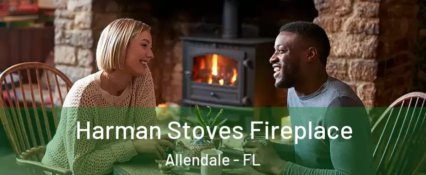 Harman Stoves Fireplace Allendale - FL