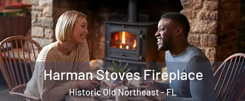 Harman Stoves Fireplace Historic Old Northeast - FL