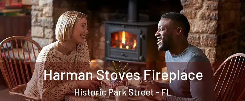 Harman Stoves Fireplace Historic Park Street - FL