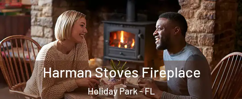 Harman Stoves Fireplace Holiday Park - FL