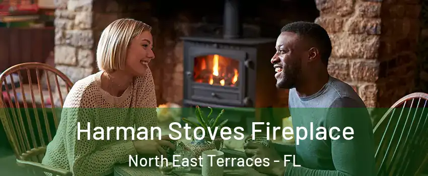 Harman Stoves Fireplace North East Terraces - FL