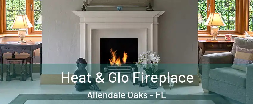 Heat & Glo Fireplace Allendale Oaks - FL