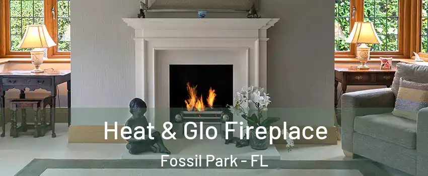 Heat & Glo Fireplace Fossil Park - FL