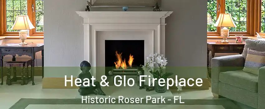 Heat & Glo Fireplace Historic Roser Park - FL