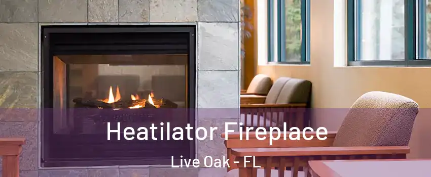 Heatilator Fireplace Live Oak - FL