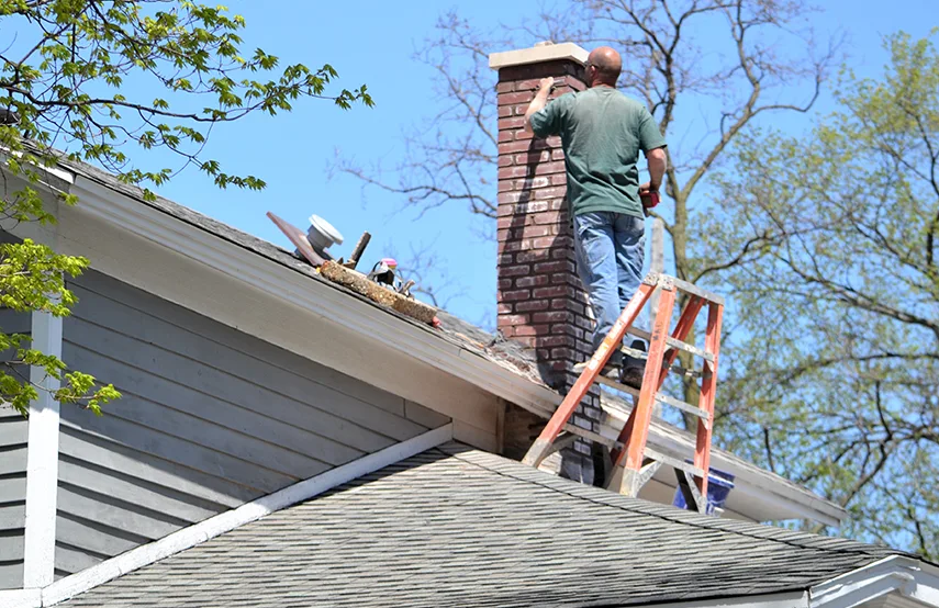 Chimney & Fireplace Inspections Services in St. Petersburg, FL