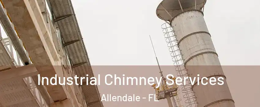 Industrial Chimney Services Allendale - FL