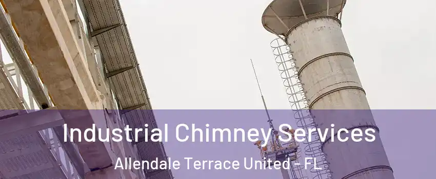 Industrial Chimney Services Allendale Terrace United - FL