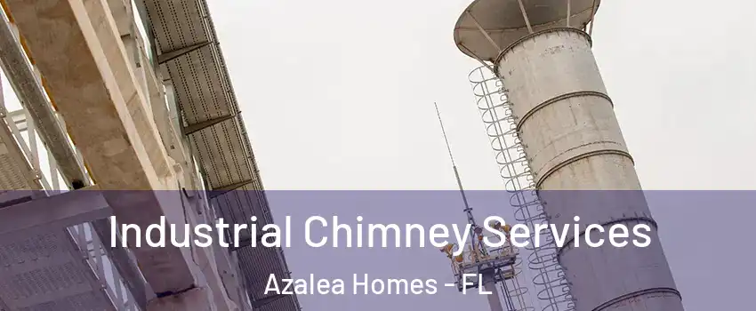 Industrial Chimney Services Azalea Homes - FL