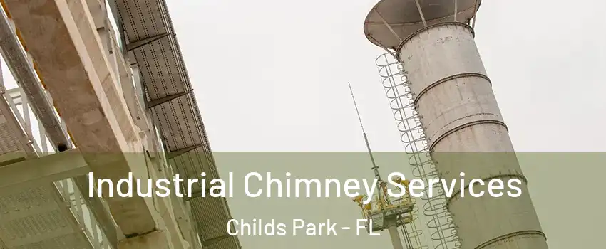 Industrial Chimney Services Childs Park - FL