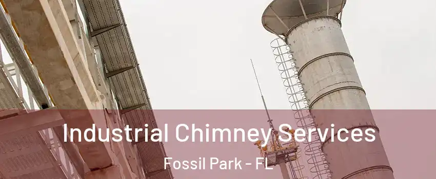Industrial Chimney Services Fossil Park - FL