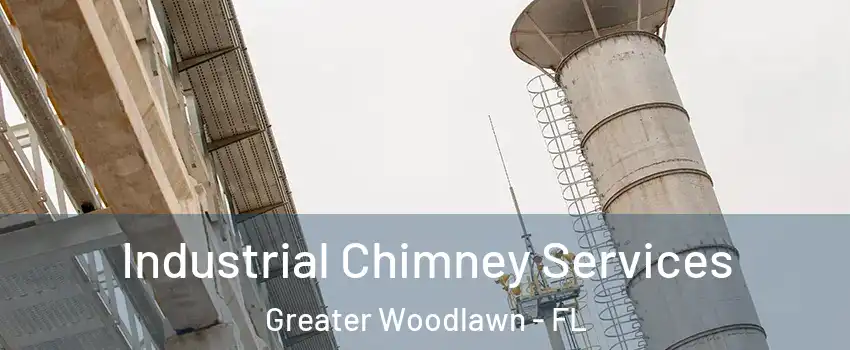 Industrial Chimney Services Greater Woodlawn - FL