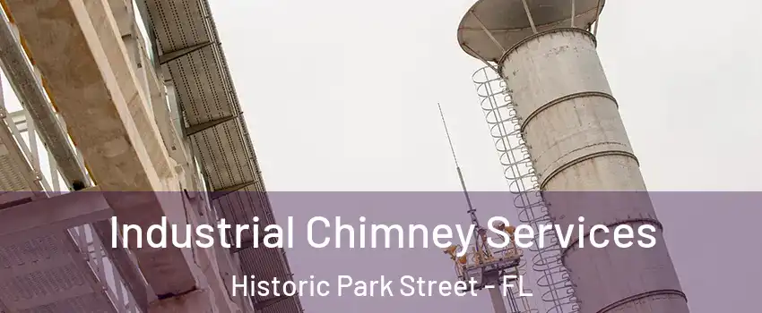 Industrial Chimney Services Historic Park Street - FL