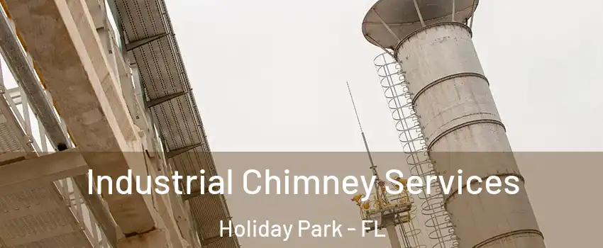 Industrial Chimney Services Holiday Park - FL