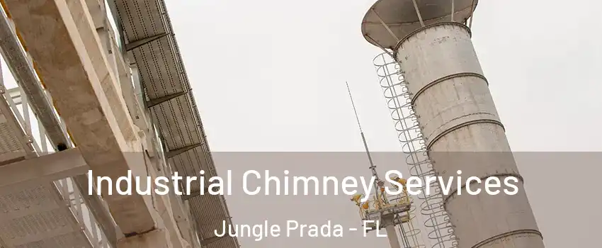Industrial Chimney Services Jungle Prada - FL