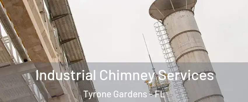 Industrial Chimney Services Tyrone Gardens - FL