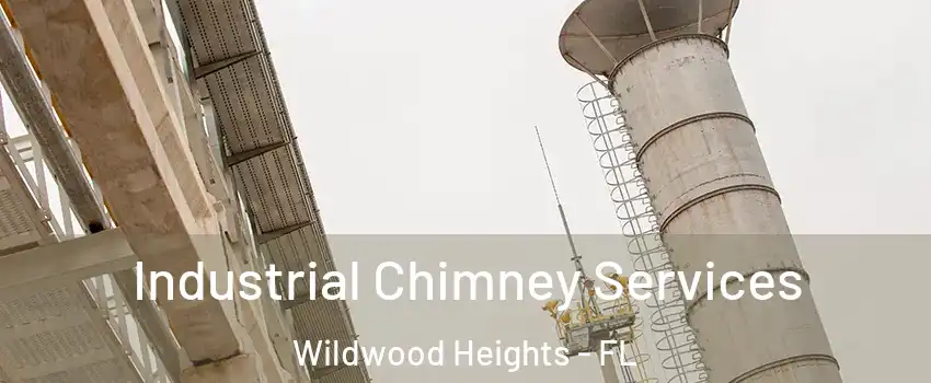 Industrial Chimney Services Wildwood Heights - FL