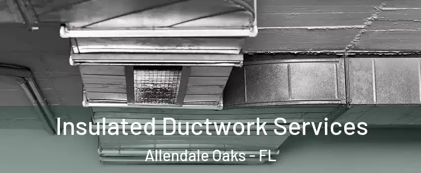 Insulated Ductwork Services Allendale Oaks - FL