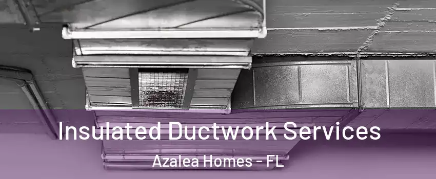 Insulated Ductwork Services Azalea Homes - FL