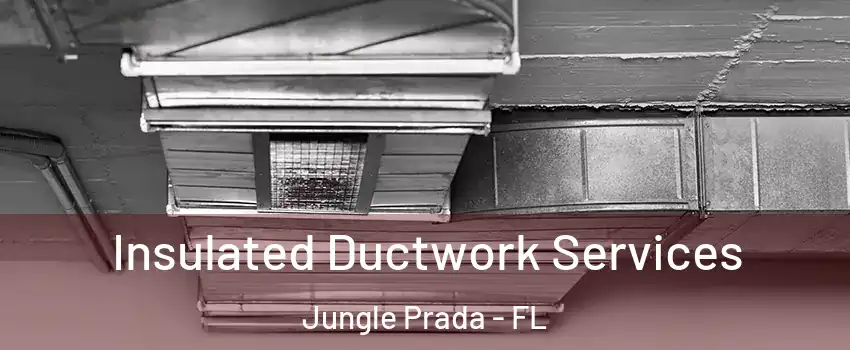 Insulated Ductwork Services Jungle Prada - FL
