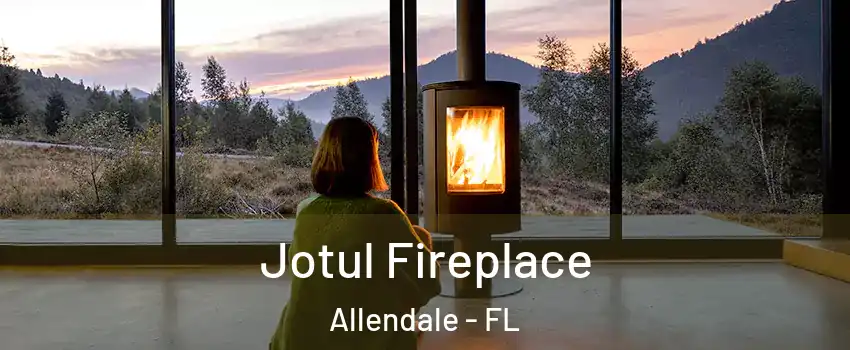 Jotul Fireplace Allendale - FL