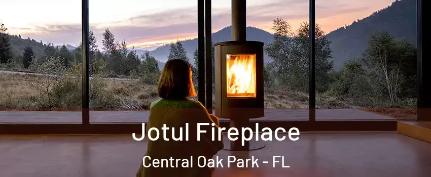 Jotul Fireplace Central Oak Park - FL