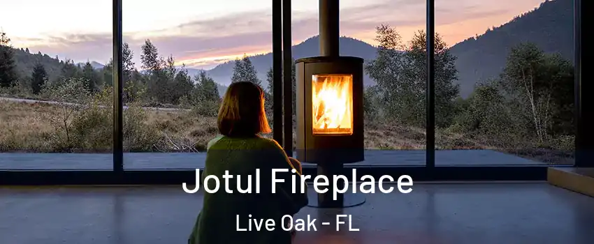 Jotul Fireplace Live Oak - FL