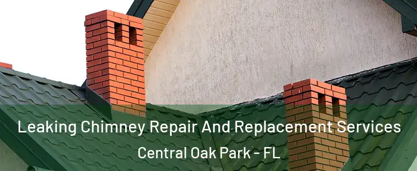 Leaking Chimney Repair And Replacement Services Central Oak Park - FL