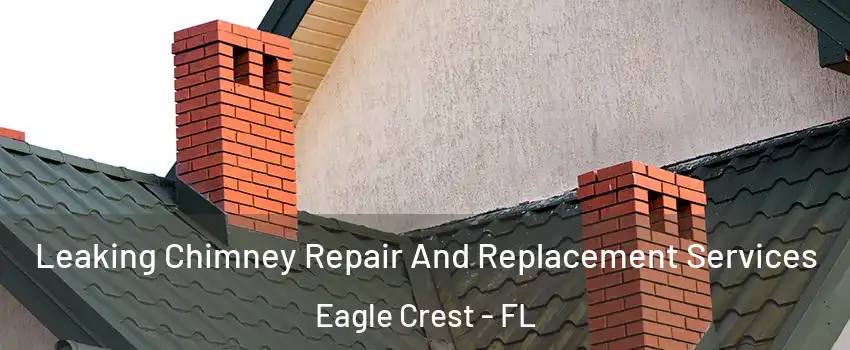 Leaking Chimney Repair And Replacement Services Eagle Crest - FL