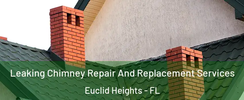 Leaking Chimney Repair And Replacement Services Euclid Heights - FL
