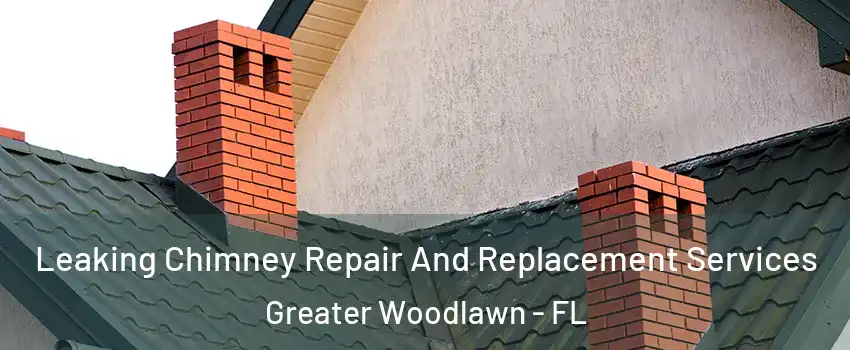 Leaking Chimney Repair And Replacement Services Greater Woodlawn - FL
