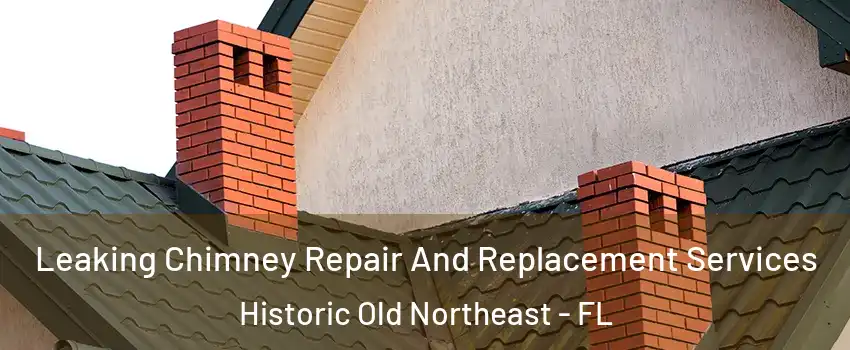 Leaking Chimney Repair And Replacement Services Historic Old Northeast - FL