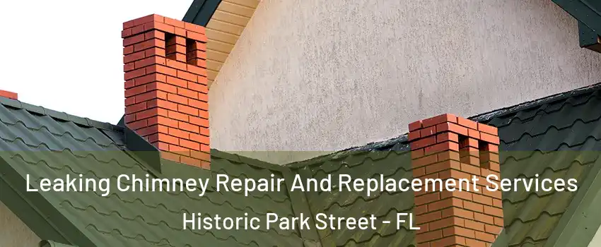 Leaking Chimney Repair And Replacement Services Historic Park Street - FL