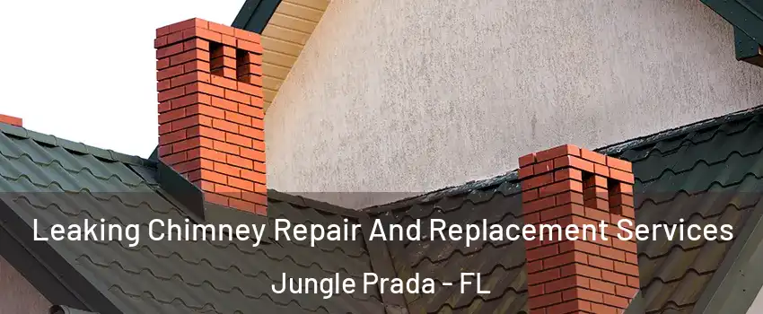 Leaking Chimney Repair And Replacement Services Jungle Prada - FL