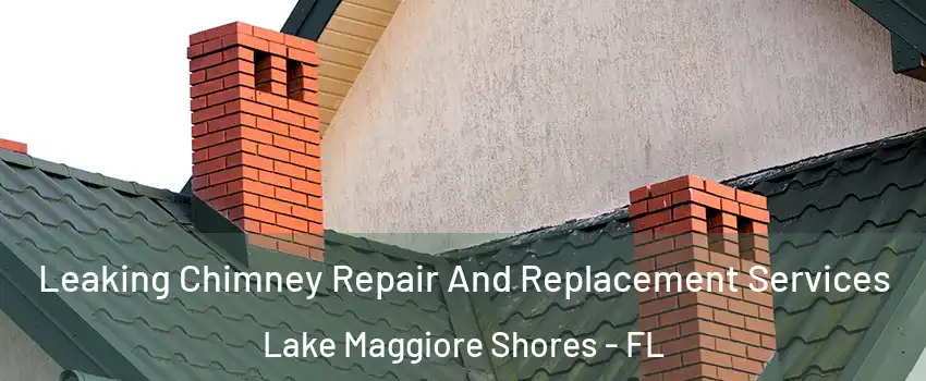 Leaking Chimney Repair And Replacement Services Lake Maggiore Shores - FL