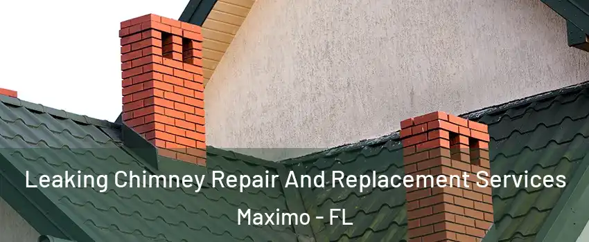 Leaking Chimney Repair And Replacement Services Maximo - FL