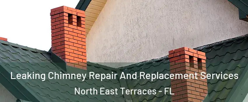 Leaking Chimney Repair And Replacement Services North East Terraces - FL
