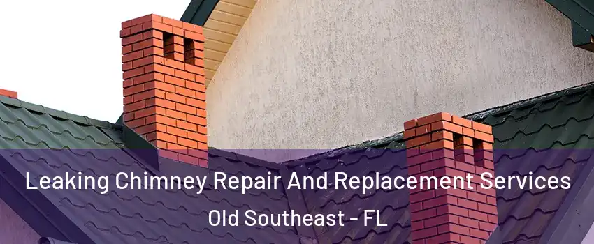 Leaking Chimney Repair And Replacement Services Old Southeast - FL