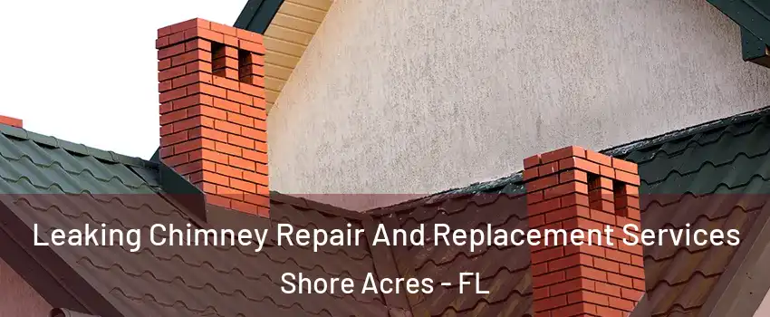 Leaking Chimney Repair And Replacement Services Shore Acres - FL