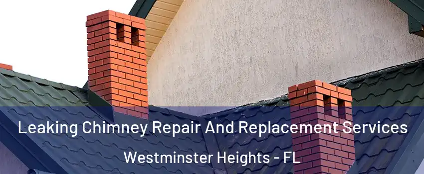 Leaking Chimney Repair And Replacement Services Westminster Heights - FL