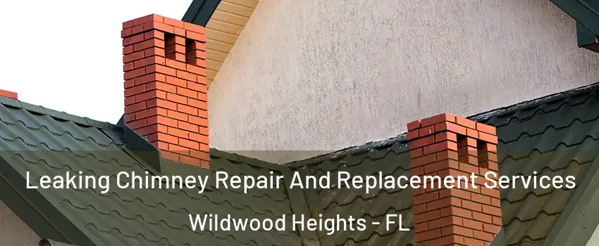 Leaking Chimney Repair And Replacement Services Wildwood Heights - FL