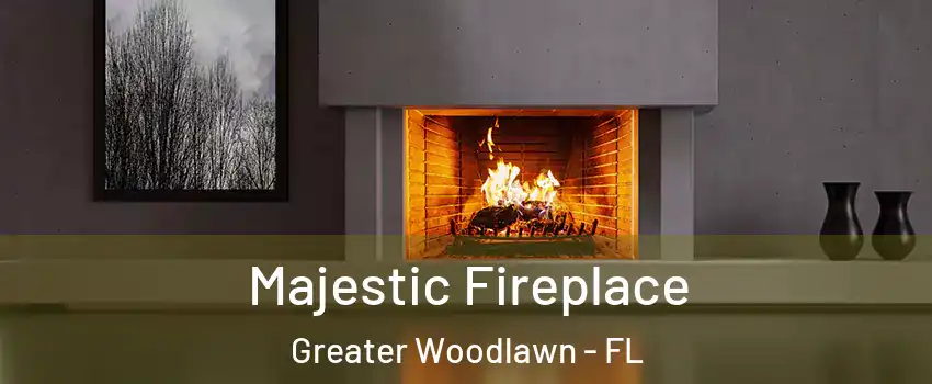 Majestic Fireplace Greater Woodlawn - FL