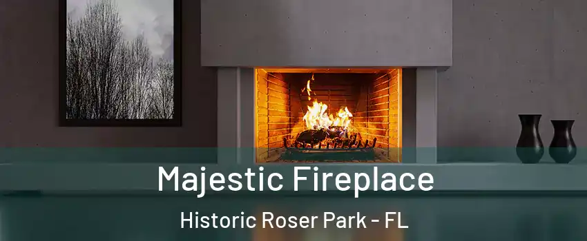 Majestic Fireplace Historic Roser Park - FL