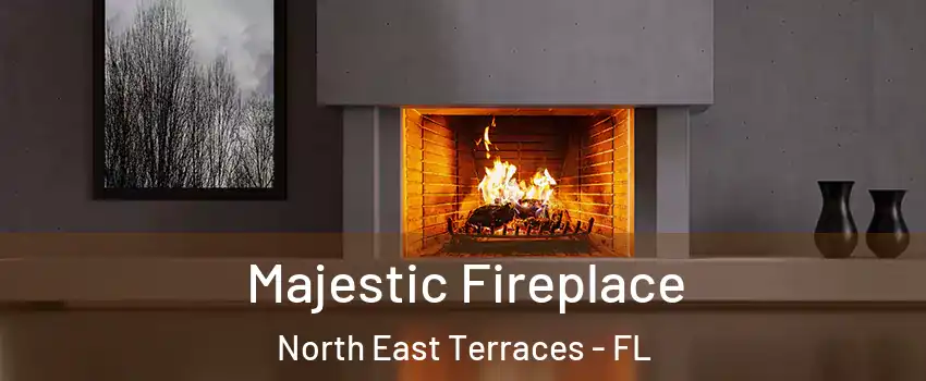 Majestic Fireplace North East Terraces - FL