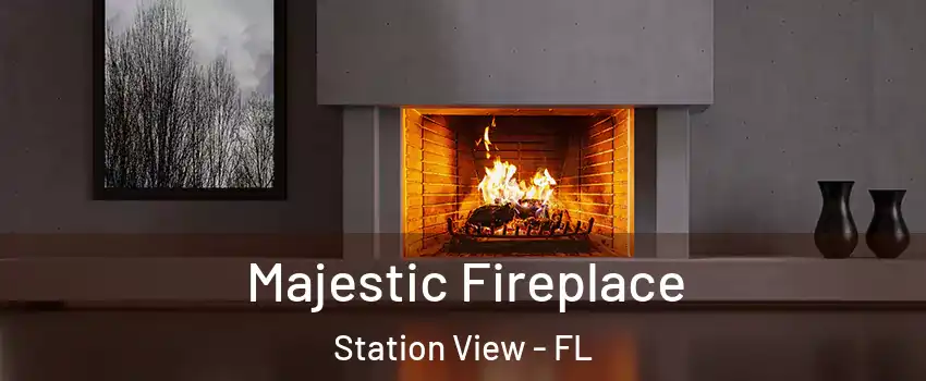 Majestic Fireplace Station View - FL