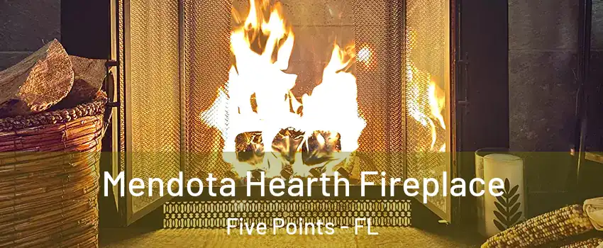 Mendota Hearth Fireplace Five Points - FL